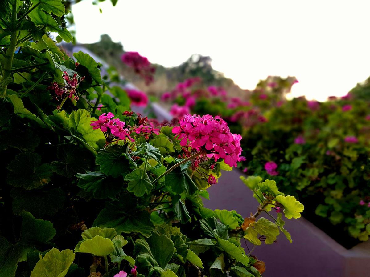 Bali  Anastasia Apartments מראה חיצוני תמונה